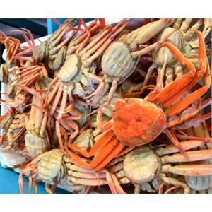 【魚倉】ボイルお任せセコガニ1kgセット