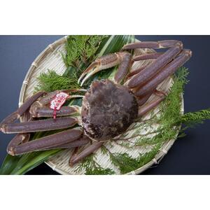 【魚倉】タグ付き生松葉ガニ(大800ｇ)