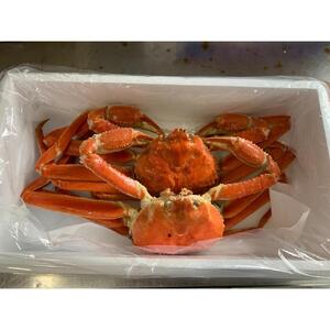 【魚倉】訳ありボイル松葉ガニ２枚セット