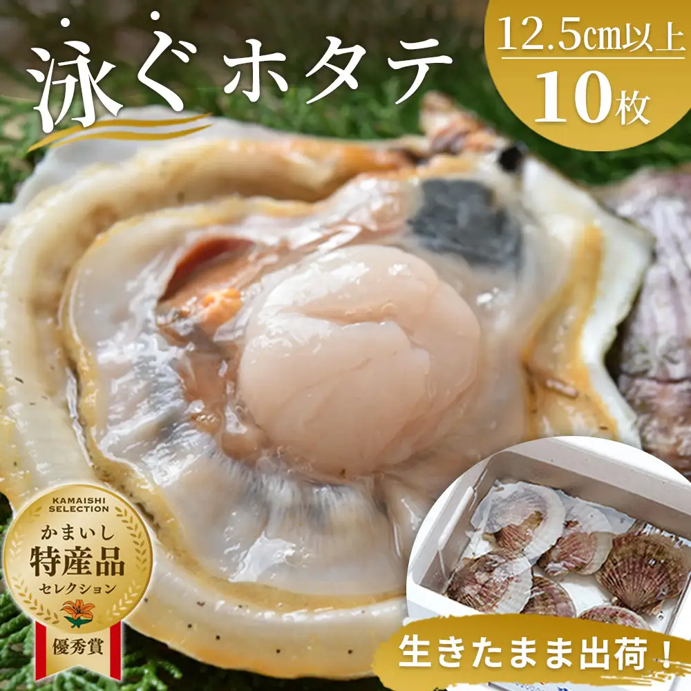 fn-39-024 泳ぐホタテ (12.5cm以上) 10枚 ヤマキイチ商店 刺身 海鮮 貝