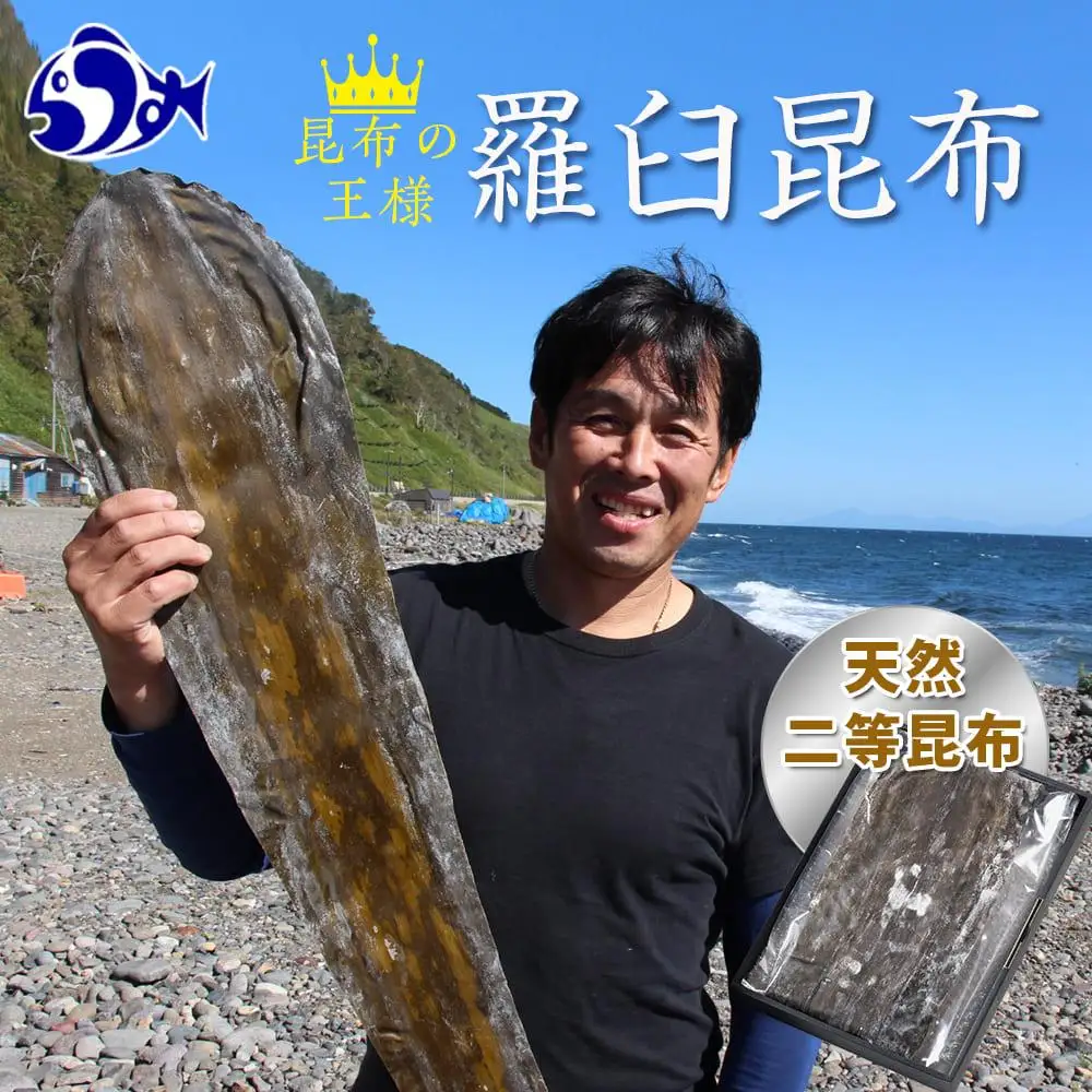 天神さん家の知床羅臼＜天然＞二等昆布（2枚入） ｜ 昆布 北海道 