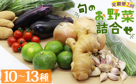 定期便2回コース 高知県香南市産 旬のお野菜詰合せ(10～13品目)【野菜 野菜詰め合わせ 野菜セット 野菜定期便 土佐野菜 野菜】 Wpr-0018