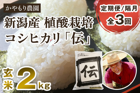 【令和7年産】【定期便3回隔月お届け】新潟産コシヒカリ「伝」真空パック 玄米2kg 《9月下旬～順次出荷》 かやもり農園