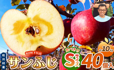 サンふじ 食べきりSサイズ 40個入り 約10kg 【2026年先行予約】 ｜ 北條農園