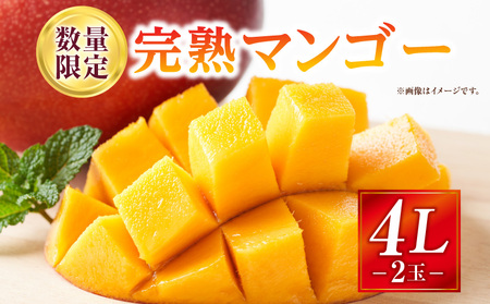 マンゴー 完熟 マンゴー[宮崎 4L 2玉 1.05~1.25kg]
