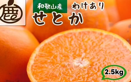 家庭用 せとか 2.5kg+250g（痛み補償分） 光センサー / 訳あり 甘い 和歌山 柑橘 ※2月上旬～4月上旬頃に順次発送 ※北海道・沖縄・離島への配送不可 【ikd014-c-2d5B】