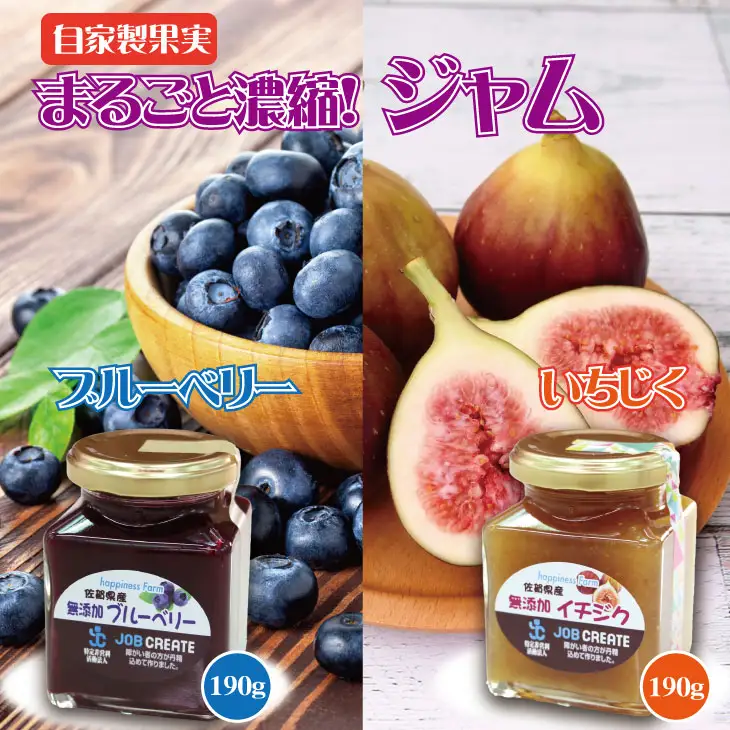 まるごと濃縮！いちじく ＆ ブルーベリー ジャム セット （190g×各1個）ジャム A070-039