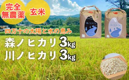 【2025年産米】完全無農薬の玄米『森ノヒカリ(3kg)』『川ノヒカリ(3kg)』セット　Bnm-A21　／お米 朝日 数量限定 四万十 高知 チェーン除草 贈り物 ギフト プレゼント お取り寄せ お歳暮 お中元 御年賀