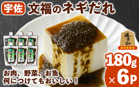 宇佐名物 文福のネギだれ (計1.08kg・180g×6P) ネギ ねぎ 葱 たれ タレ 勝負めし【102200400】【観光館　文福】
