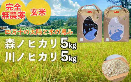 【2025年産米】完全無農薬の玄米『森ノヒカリ(5kg)』『川ノヒカリ(5kg)』セット　Bnm-A22　／お米 朝日 数量限定 四万十 高知 チェーン除草 贈り物 ギフト プレゼント お取り寄せ お歳暮 お中元 御年賀