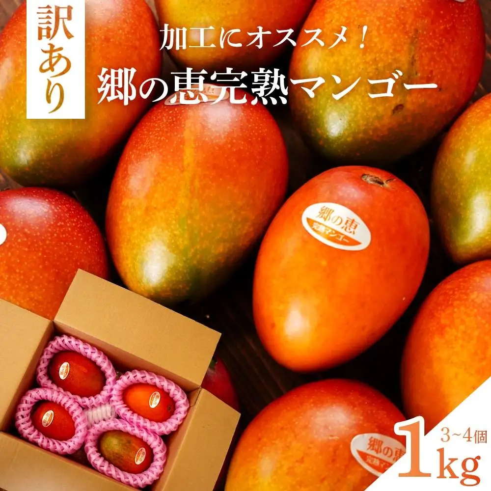 【訳あり】1kg 大崎完熟マンゴー「郷の恵（さとのめぐみ）」加工用マンゴー（糖度10度前後）