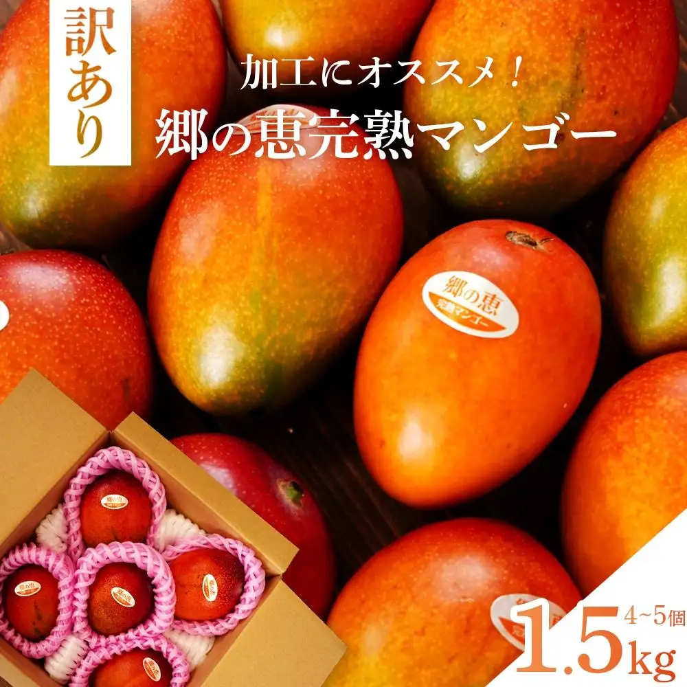 【訳あり】 1.5kg 大崎完熟マンゴー「郷の恵（さとのめぐみ）」加工用マンゴー（糖度10度前後）