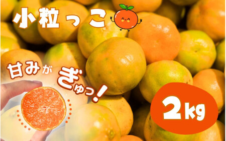 お試しにピッタリ！ 温州みかん 「小粒っこ」 2kg ※秀優混合 【2S～3Sサイズおまかせ】【2026年10月中旬～2027年2月下旬までに順次発送】(極早生・早生・中生・晩稲)＜味好農園＞/ 温州 みかん 小玉 蜜柑 柑橘 みかん 極早生 早生 中生 晩稲 小粒 果物 フルーツ 【agy004-s-2】