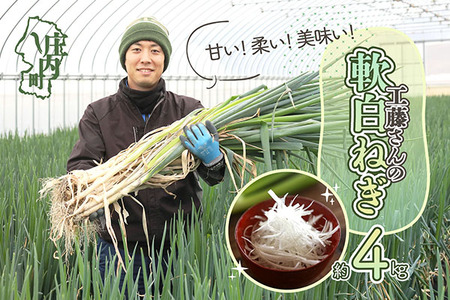 【R8.11月下旬より順次発送】庄内町産 工藤さんの軟白ねぎ Lサイズ30本 約4kg（入金期限：2027.2.20）先行受付 白くて 甘い 国産 軟白ねぎ 鍋 ネギ ねぎ 葱 大容量 野菜 新鮮 産地直送 冬の味覚 山形