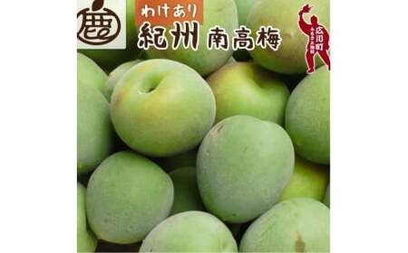 青梅 訳あり 南高梅 1kg+250g（痛み補償分） / 梅 梅ジュース 梅酒 梅干し 家庭用 和歌山 ※5月~6月発送予定 ※北海道・沖縄・離島への配送不可【ikd508-c-1H】