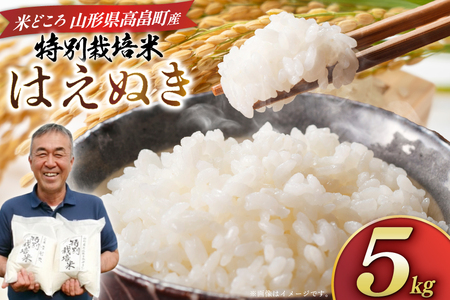 米 令和8年度産 はえぬき 5kg [渡部ファーム 山形県 高畠町 tk06ays810033] お米 白米 精米 ごはん ご飯 ブランド米