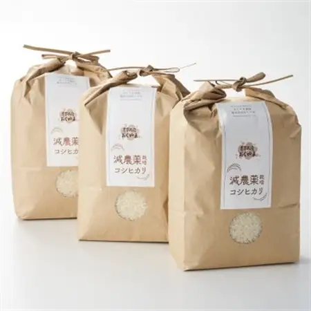 R7年産 濃厚な甘み! 岩船産コシヒカリ 精米6kg(2kg×3袋)[農家民宿おくやま]_岩船産 コシヒカリ 精米 先行予約_【1584913】
