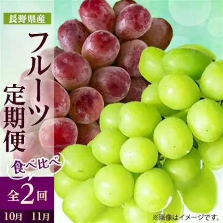【発送月固定定期便】2026年発送 長野の果物 シャインマスカット+クイーンルージュ全2回【配送不可地域：離島】【4063521】