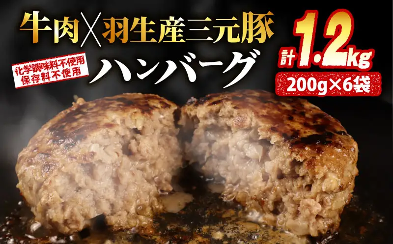 冷凍 ハンバーグ 1.2kg 個包装 ギフト お歳暮 大判ハンバーグ