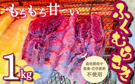＜2026年秋収穫分 先行予約＞ 栽培期間中、農薬・化学肥料不使用 もちもち甘～い『ふくむらさき』1kg（3～5本） さつまいも サツマイモ F3S-2616