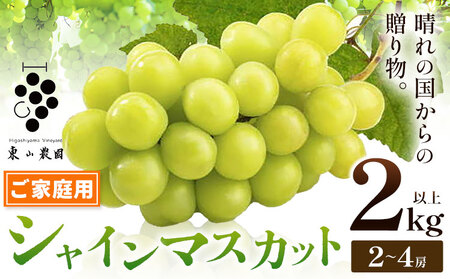 シャインマスカット 2kg(2房～4房) ｼｬｲﾝﾏｽｶｯﾄ