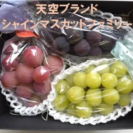 【2026年発送】牧丘天空ブランド　皮ごと食べられるぶどう3色詰め合わせ 約1kg(3房)【配送不可地域：離島】【1585100】