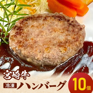 宮崎牛ハンバーグ100ｇ×10個 N124-YD0199