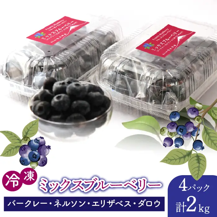 鳴沢村産冷凍ミックスブルーベリー(バークレー・ネルソン・エリザベス・ダロウ）500g×4パック NSAL006
