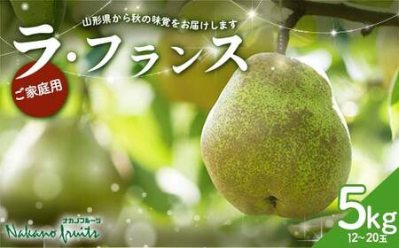 ≪2026年先行予約≫【仲野観光果樹園】ご家庭用 山形県産 西洋梨 小玉 ラ・フランス 5kg (12～20玉) 2026年11月中旬から順次発送 F2Y-6112