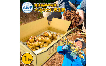 健康長寿の秘訣 大地の土付き生姜1kg 国産 生ショウガ しょうが ショウガ ジンジャー ジンジャーエール ショウガシロップ 生姜焼き 薬味 野菜 料理 健康 生姜湯 新鮮【やの一果彩】 [BQAC039]