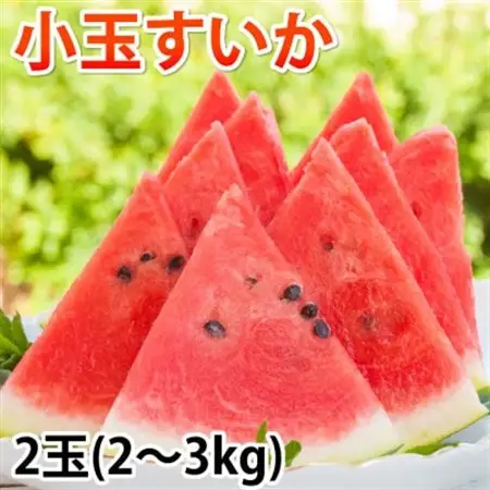 小玉すいか 秀品 2玉 約2～3kg【2026年5月下旬～7月下旬発送予定】【1586188】