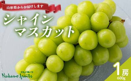 ≪2026年先行予約≫【仲野観光果樹園】贈答用 山形県産 シャインマスカット 600g(1房) 秀品 種無し ぶどう 2026年9月上旬から順次発送 F2Y-6118