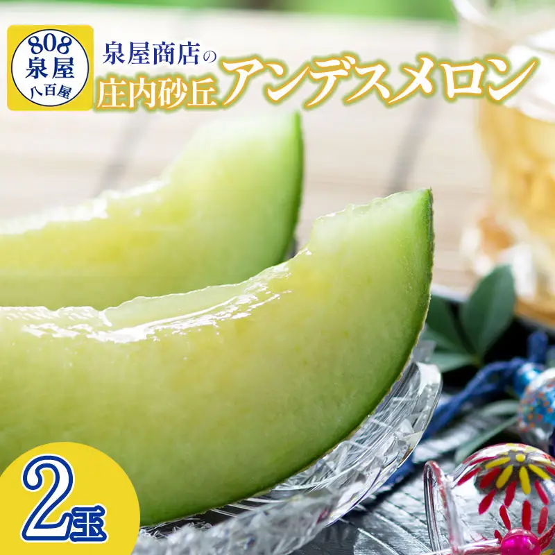 【令和8年産先行予約】泉屋商店の庄内砂丘アンデスメロン 2玉　K-822　| メロン めろん フルーツ 果物 くだもの 夏 旬 デザート 産地直送 山形 鶴岡 庄内 東北 人気 おすすめ 美味しい 国産 お取り寄せ 返礼品