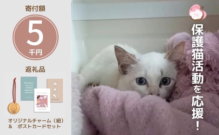 保護猫活動を応援！ ロゴチャーム(紐)&ポストカード×3枚 さくらねこサポートOGORI 雑貨 日用品 猫 保護猫