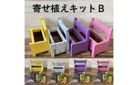 多肉植物 じぶんで植える 多肉 寄せ植えキットB 木製 ベンチ型 プランター 全4色 インテリア 植物 寄せ植え ガーデニング 福岡 小郡市 白色
