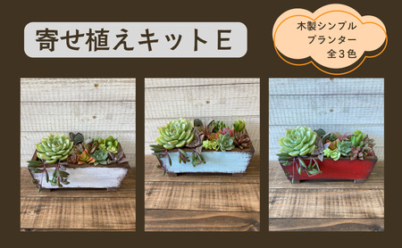 多肉植物 じぶんで植える 多肉 寄せ植えキットE 木製 シンプル プランター 全3色 インテリア 植物 寄せ植え ガーデニング 福岡 小郡市 白色