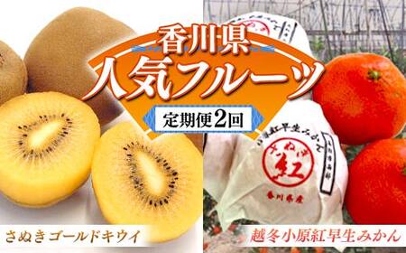 【人気フルーツ定期便A 2回】 《さぬきゴールドキウイからスタート》 さぬきゴールドキウイ 約1kg 越冬小原紅早生 約1kg キウイ キウイフルーツ みかん 柑橘 旬 果物 国産 香川県 フルーツ定期便 F5J-927
