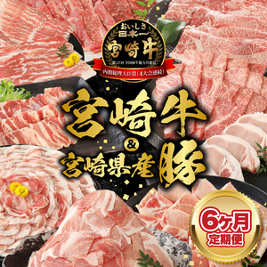 【6ヶ月定期便】宮崎牛と宮崎県産豚 N0147-YF098