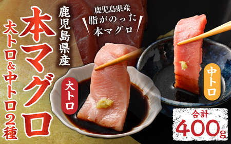 CS-223 鹿児島県産本マグロ 大トロ＆中トロセット 合計400g 本マグロ マグロ 大トロ 中トロ セット  刺身 刺し身 【2026年1月下旬より順次出荷】