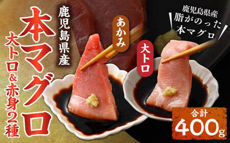 BS-920 鹿児島県産本マグロ 大トロ＆赤身セット 合計400g 本マグロ 大トロ 赤身 刺し身 セット 魚 【2026年1月下旬より順次出荷】