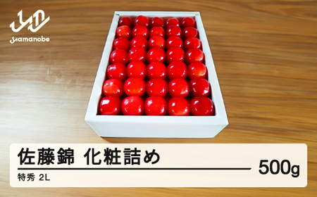 《先行予約》贈答用 2026年 山形県産さくらんぼ 佐藤錦 化粧詰 500g 特秀 2L F21A-235