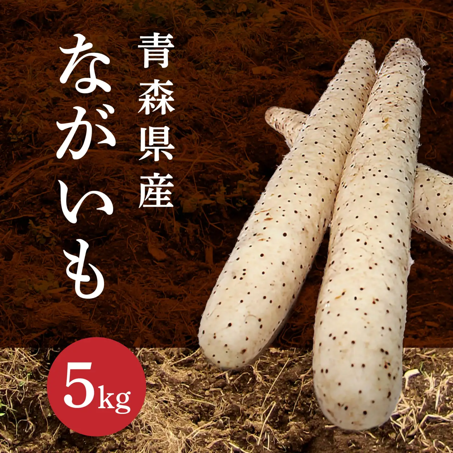 長芋 5kg ながいも 野菜　