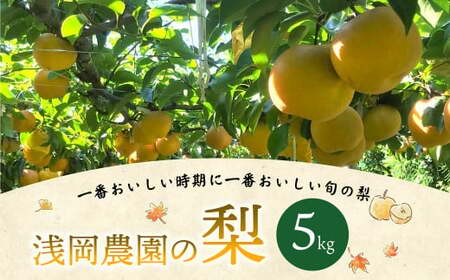 浅岡農園 の 梨 約5kg 豊水 秋月 新高 甘太 果物 大分県産 【2026年9月上旬-11月上旬発送予定】