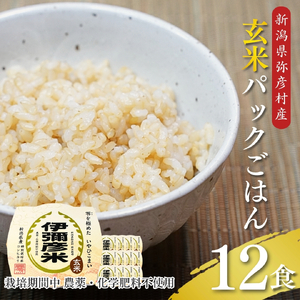 パックご飯 伊彌彦米零玄米パックごはん 皇室献上米 150g入り×12pac | パックご飯 パックごはん 新潟県