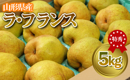 ★食べ頃出荷★山形県産 「ラ・フランス」 特秀品 5kg (12～20玉) 洋梨 ラフランス 山形【令和8年産先行予約】FS24-819