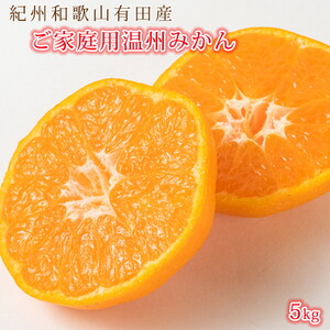 ［ご家庭用訳アリ］紀州有田産濃厚完熟温州みかん 約5kg ［2026年11月下旬以降発送 先行予約 ］［UT13］【uot003】