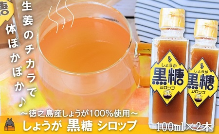 徳之島産しょうが100%使用！体ぽかぽか！しょうが黒糖シロップ（100ml×3本） （ しょうが 生姜 ショウガ 黒糖 黒砂糖 シークニン ドリンク 飲み物 しょうが湯 生姜湯 調味料 瓶 国産 徳之島 奄美 鹿児島 美味しい ）