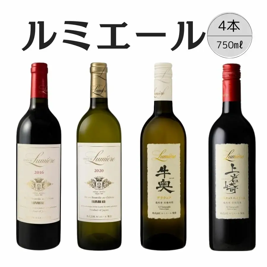 ルミエール　おすすめ赤白ワイン4本セット⑥ 167-139