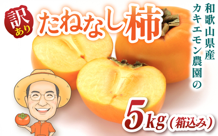 柿 【訳あり・ご家庭用】たねなし柿 約5kg 20個前後 カキエモン農園【2026年9月下旬～11月上旬頃順次発送】【BX003-kkem003A】