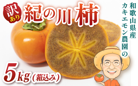 【訳あり・ご家庭用】紀の川 柿 約5kg 18個前後 カキエモン農園 【2026年10月中旬～11月下旬頃順次発送】【BX004-kkem004A】